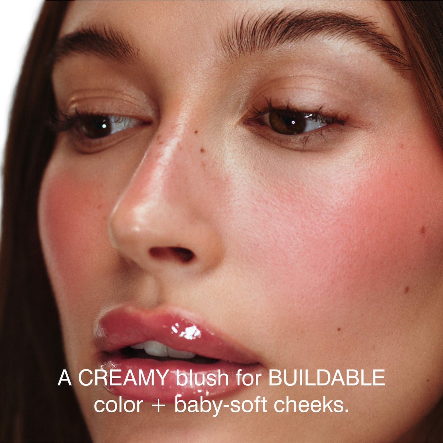 Rohde Pocket Blush